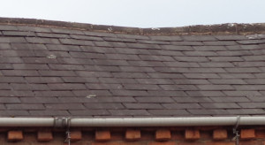 Sagging roof
