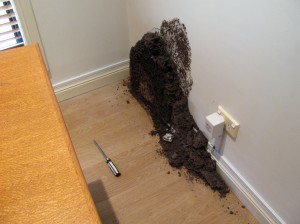 Termite Mounds are Never a Pretty Sight in your Home