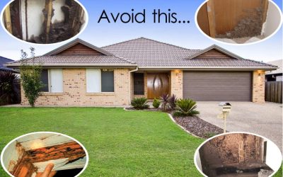 Termites can Eat Away your Home: Take the Steps to find and prevent them