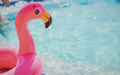 Pool Inspection Checklist: What Do Inspectors Check?