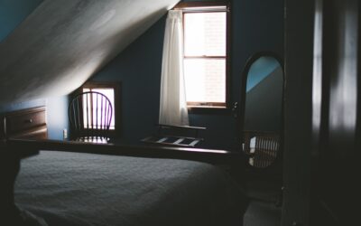 Don’t Neglect Your Attic: 5 Reasons to Have It Inspected Yearly