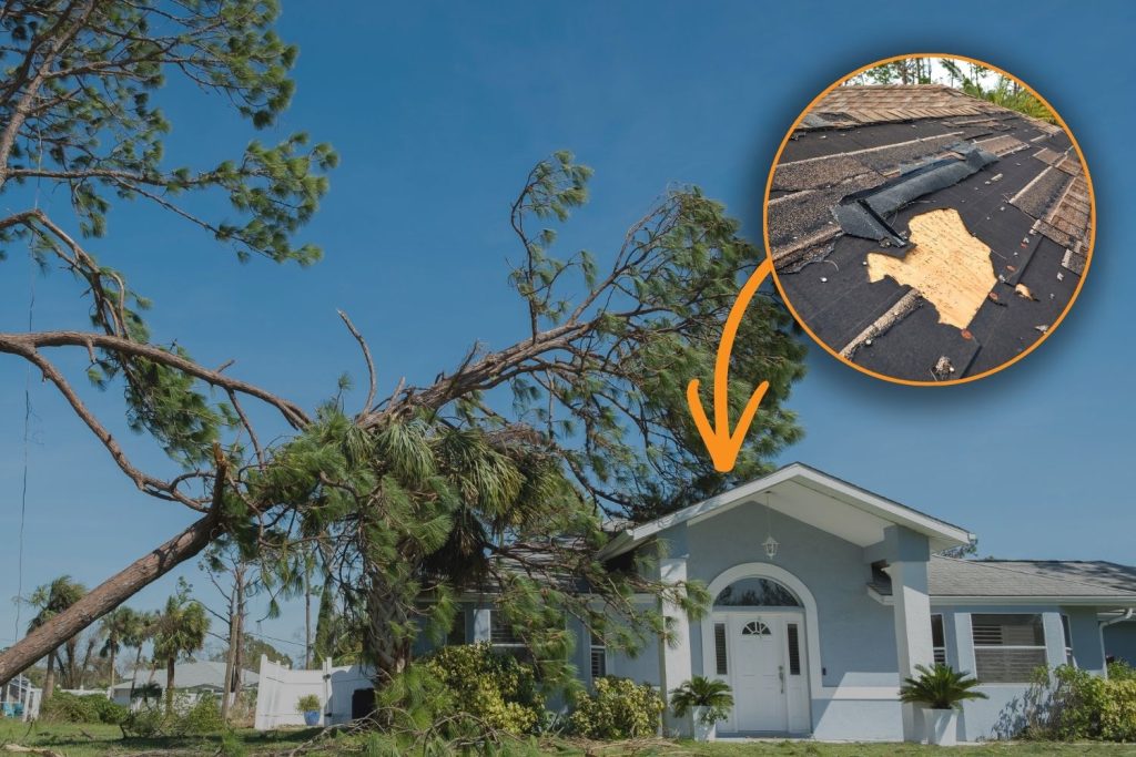 Hurricane-damaged Florida home with a fallen tree and a close-up of wind-torn roof shingles showing why wind mitigation matters