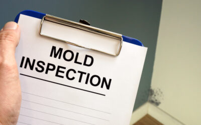 Everything to Consider When Hiring a Mold Inspection Company