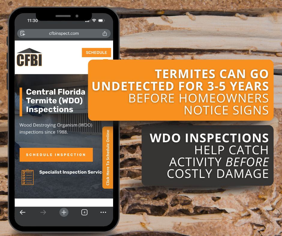 benefits of letting a professional find signs of termites in your home