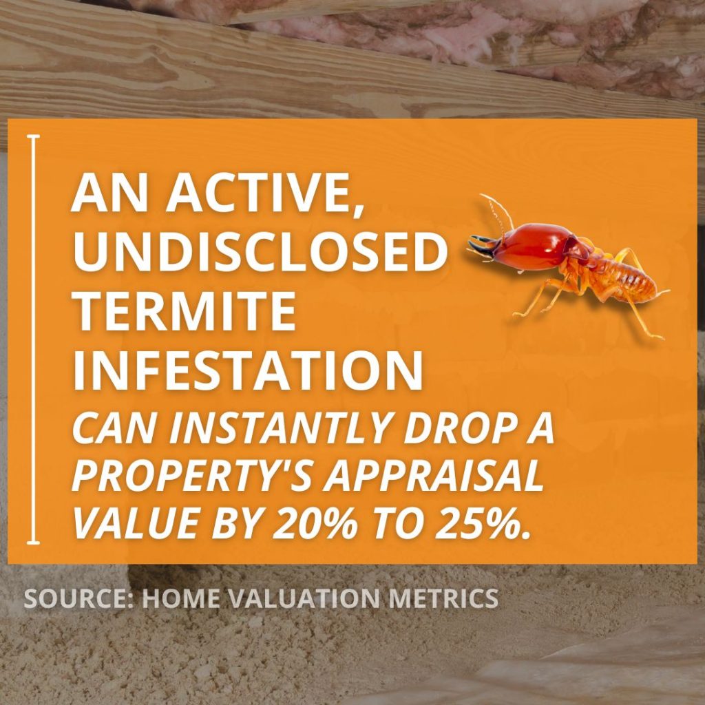 An infographic showing how an active termite infestation lowers appraisal values, highlighting the need for termite inspections.